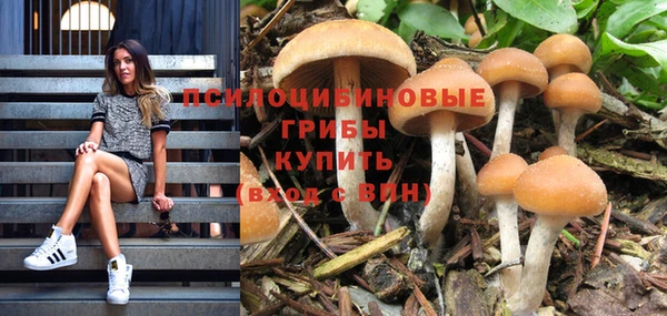 гидра Богданович