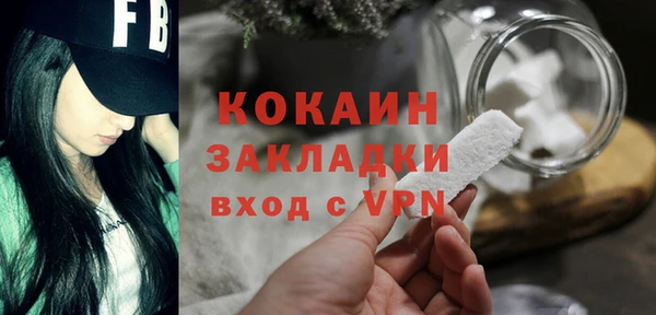 шишки Белоозёрский