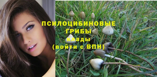 шишки Беломорск