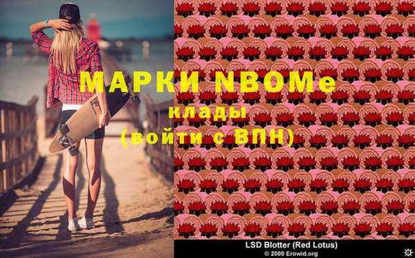 шишки Белоозёрский