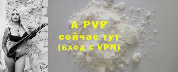 дмт Белокуриха