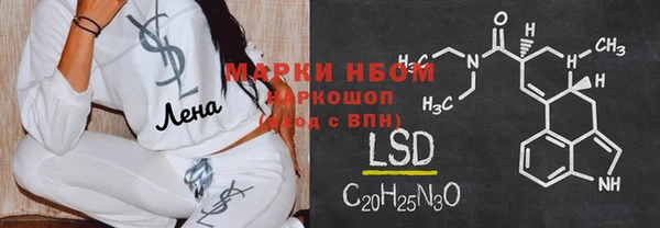 шишки Беломорск