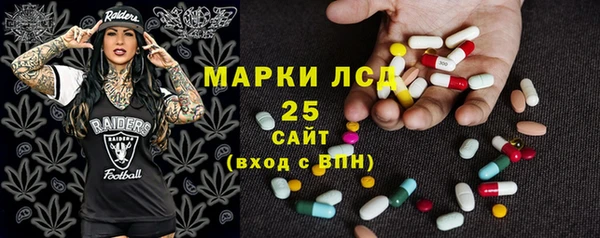 шишки Беломорск
