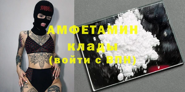шишки Беломорск