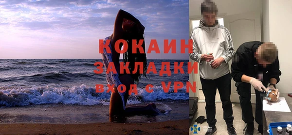 шишки Беломорск