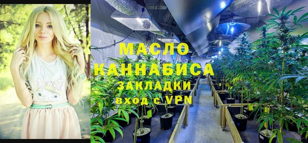 шишки Беломорск