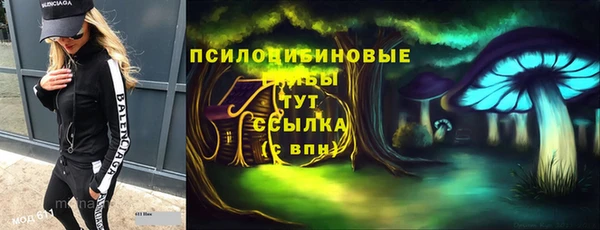 шишки Белоозёрский