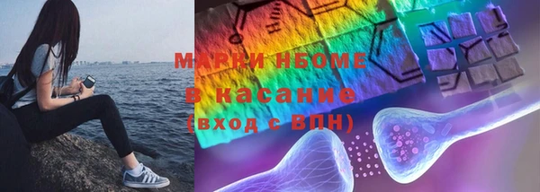 шишки Белоозёрский