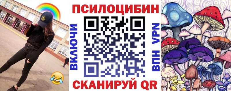 цена   mega ТОР  Псилоцибиновые грибы Psilocybe  Бузулук 